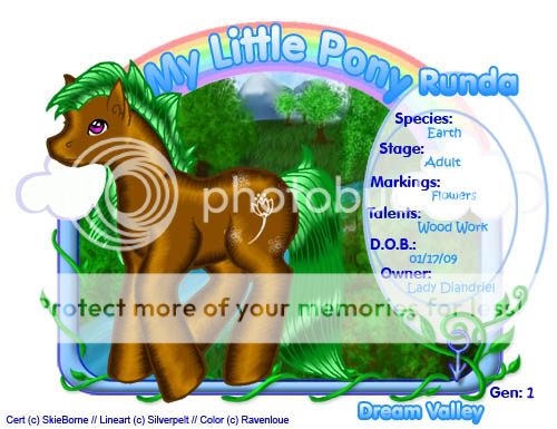 User Image
